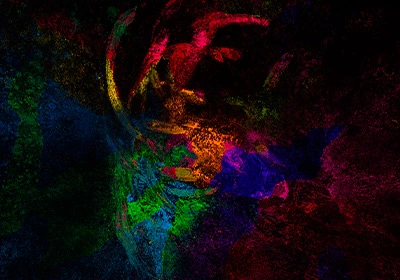 Räumliche Transkript omik