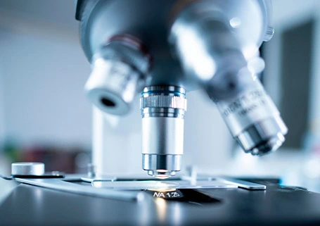 Einzeller Sequenz ierung