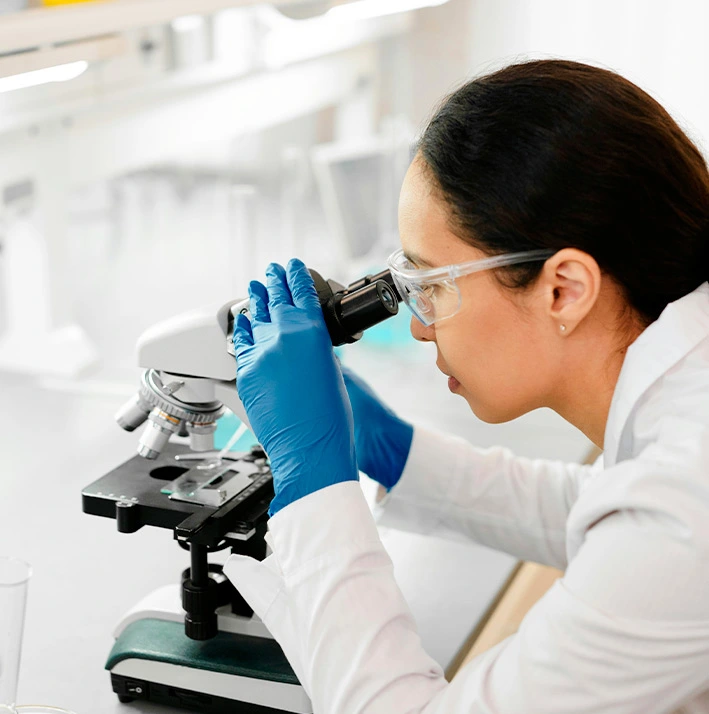 Die Enthüllung unserer Meilensteine ist eine Reise der Innovation und Exzellenz