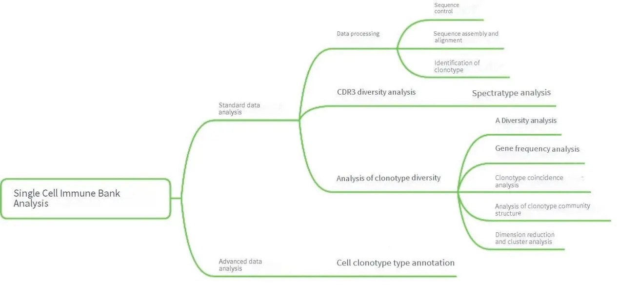 Analyse pipeline der einzelligen RNA-Sequenz ierung mit Immune Repertoire Profiling