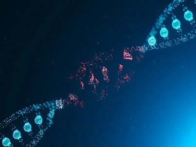 Bau von Hefe bibliotheks in der Biotechnologie: Ein Schlüssel instrument zur Förderung von Innovationen