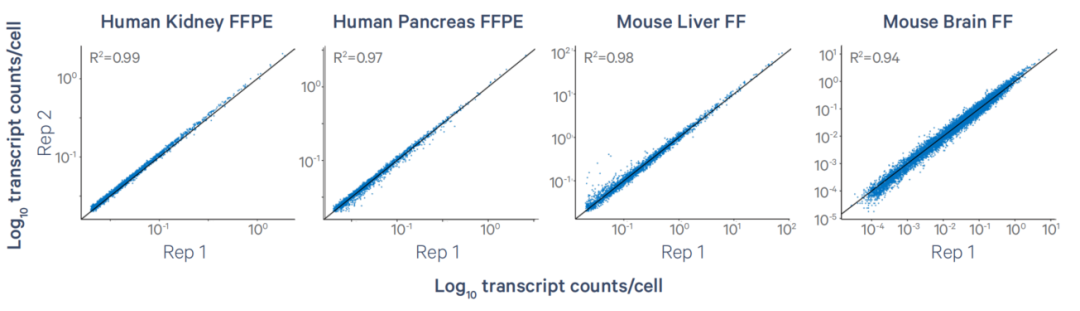 Figure_5._Xenium_5000_Panel_Performance_Across_Species.png