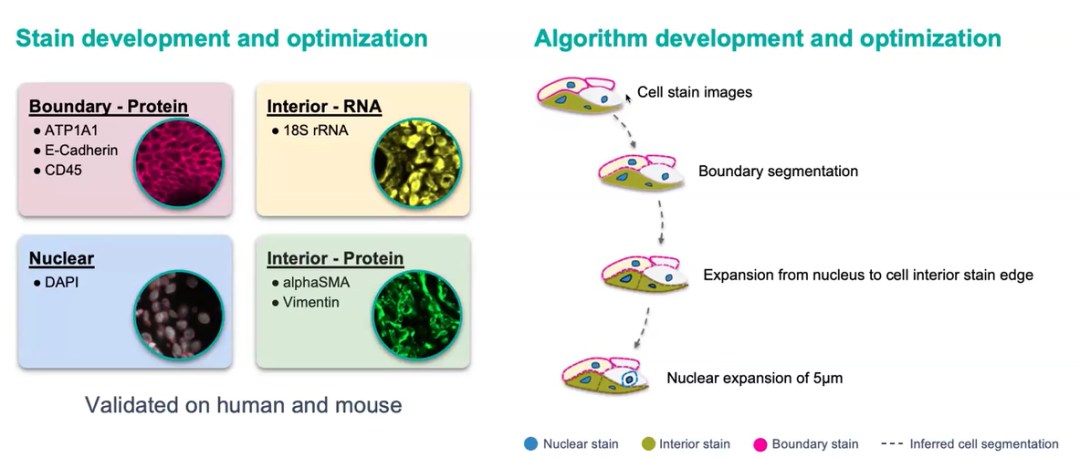 Figure_6._Multimodal_Segmentation_Workflow.png