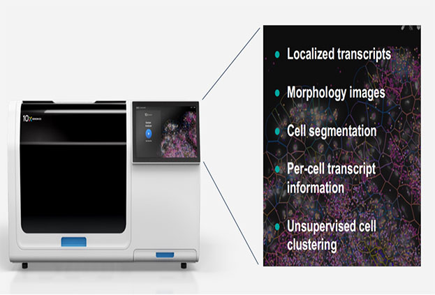 Overview-of-Xenium-In-Situ-Technology-1.jpg