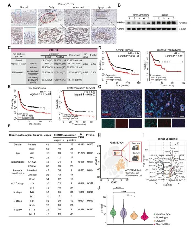 Insights-from-Single-Cell-Sequencing-003.jpg