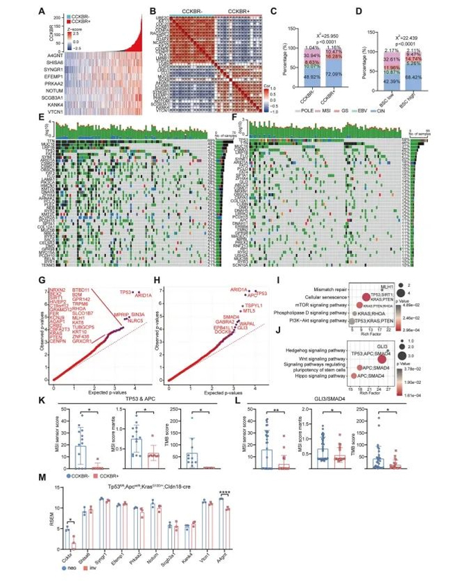 Insights-from-Single-Cell-Sequencing-004.jpg