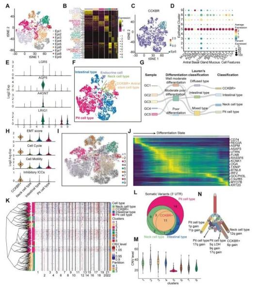 Insights_from_Single-Cell_Sequencing_02.png