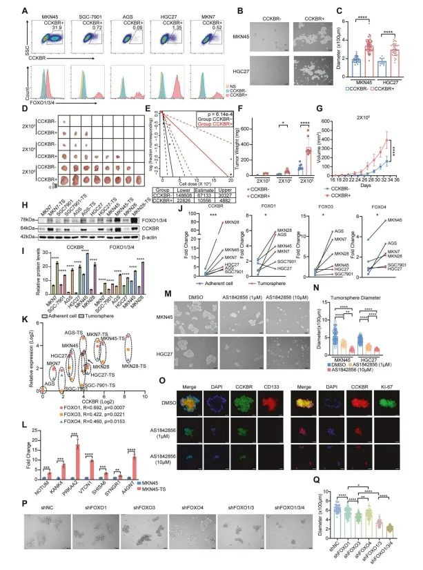 Insights_from_Single-Cell_Sequencing_07.png