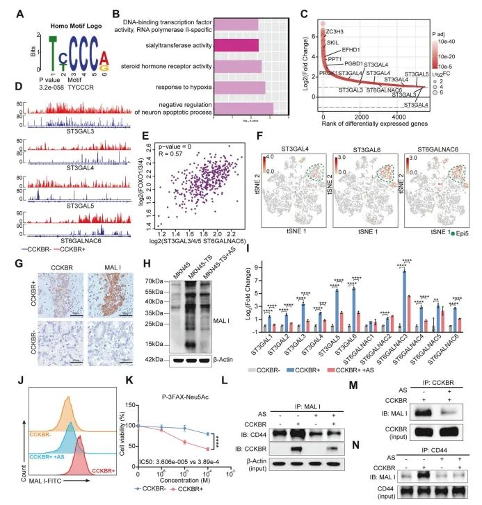 Insights_from_Single-Cell_Sequencing_09.png