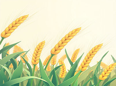 Die wissenschaft liche Veröffentlichung enthüllt die molekulare Grundlage der Weizen beständigkeit gegen Stamm rost