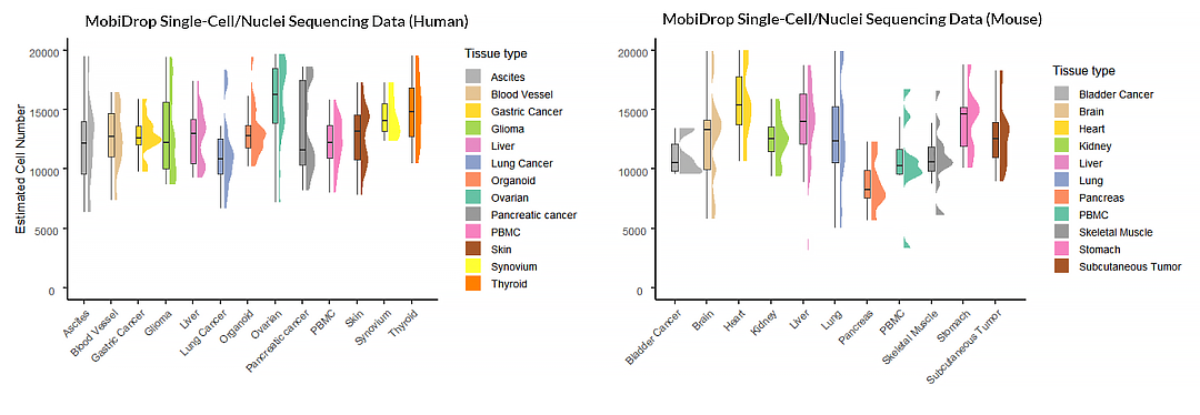Figure_1._Median_gene_counts_across_human_and_mouse_tissues.png
