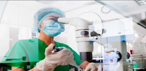 Hefe-Bibliotheks bau