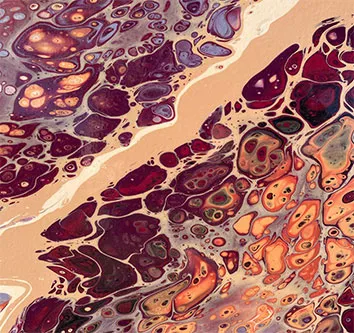 Stereo-seq Räumlicher Service